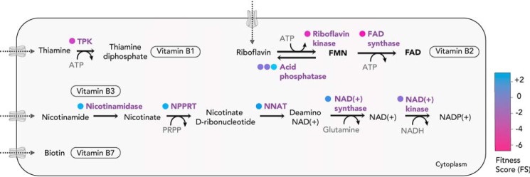 Figure 3.