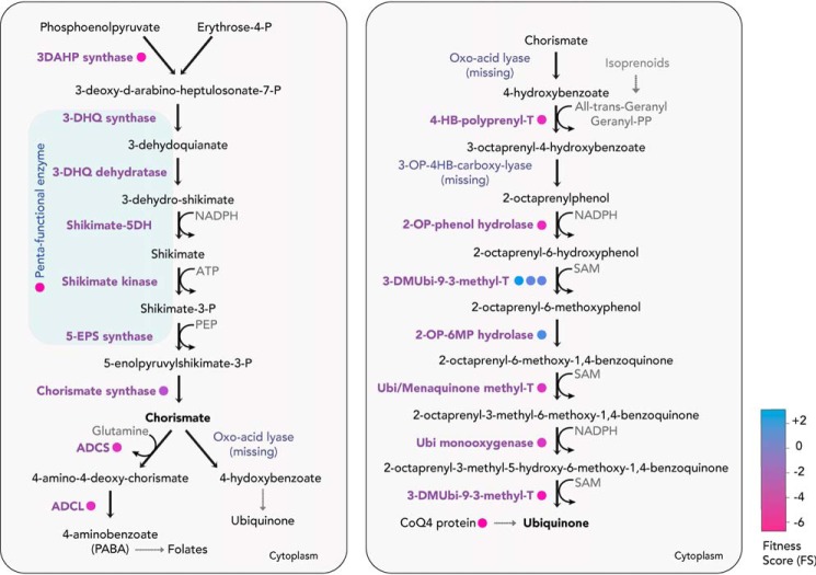 Figure 9.