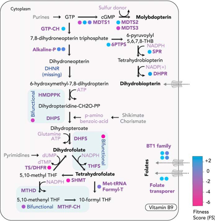 Figure 6.