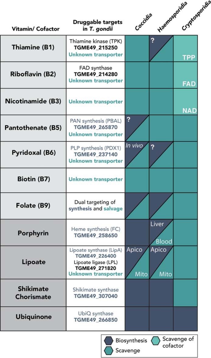 Figure 10.