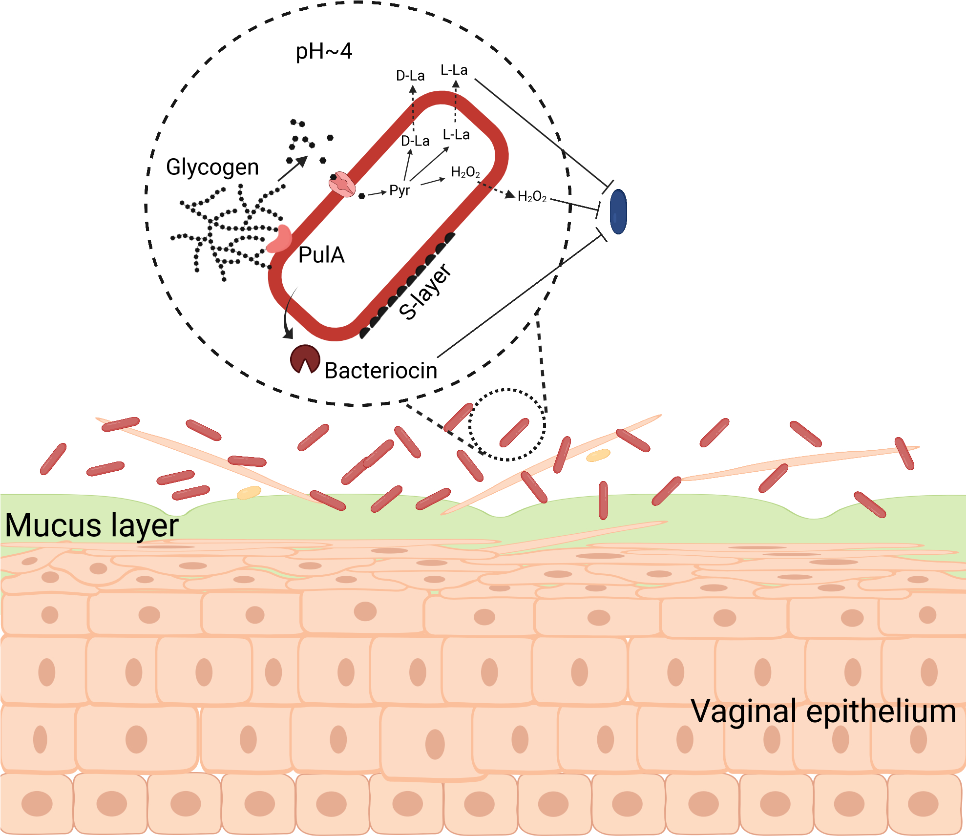 Fig. 2 |