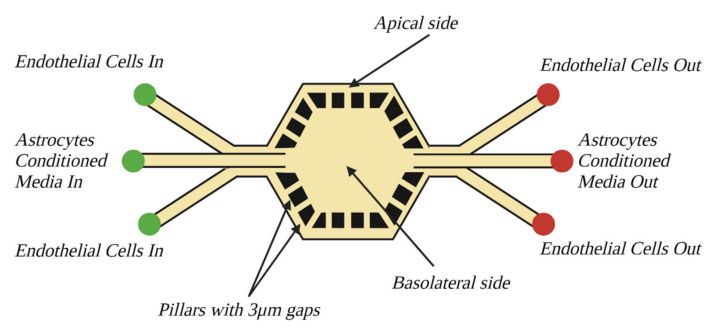 Figure 11