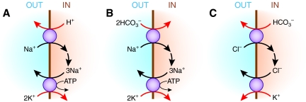 Figure 3.