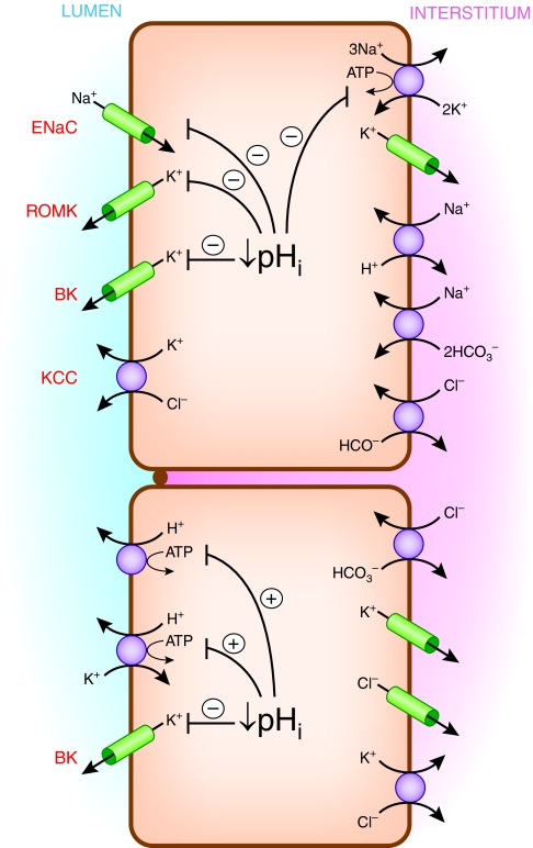 Figure 6.