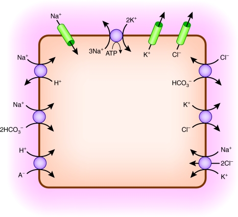 Figure 2.