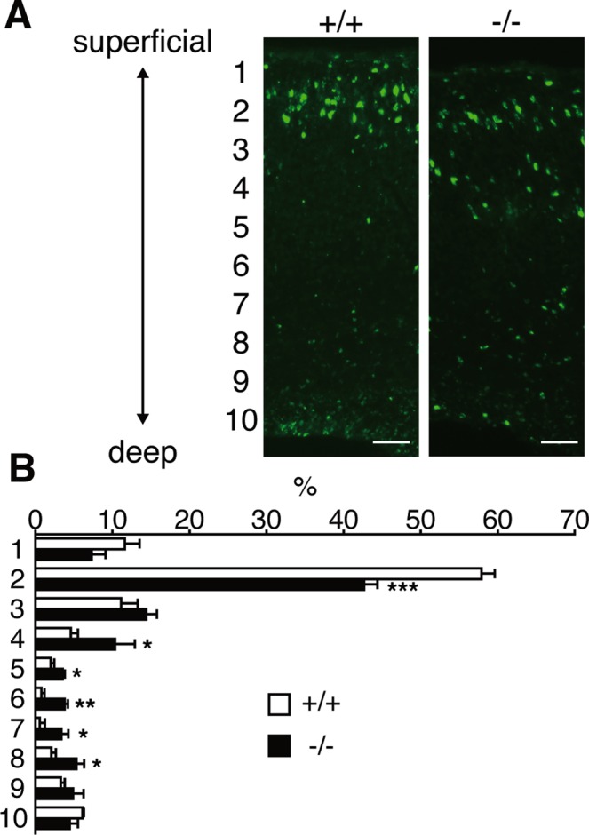 FIGURE 7: