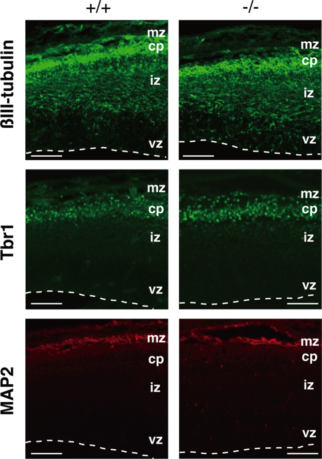 FIGURE 6: