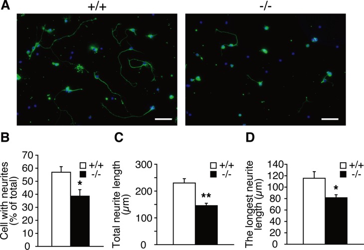 FIGURE 9: