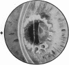 121