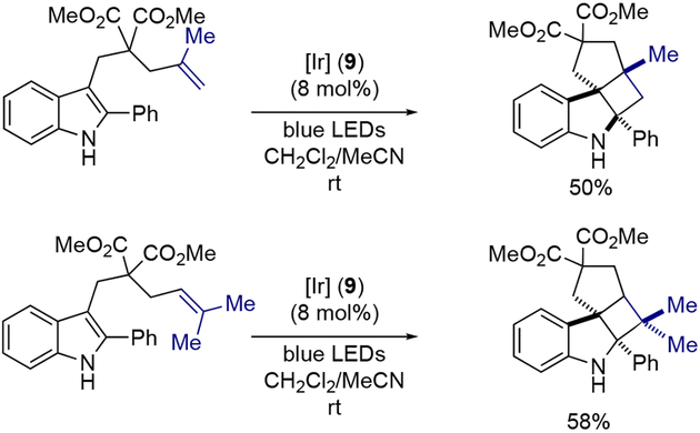 Scheme 4.