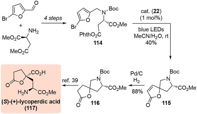 Scheme 36.