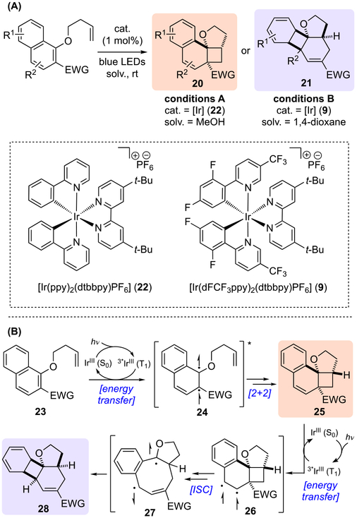 Scheme 6.