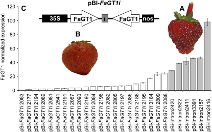 Figure 7.