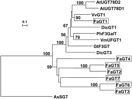 Figure 2.