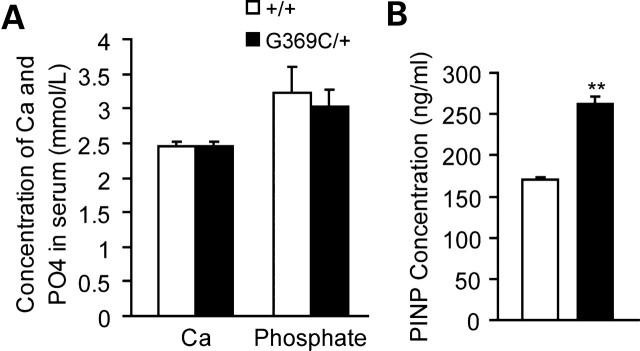 Figure 3.