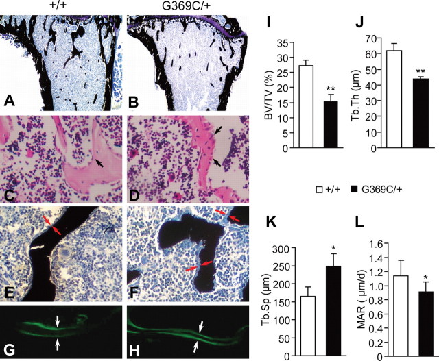 Figure 2.