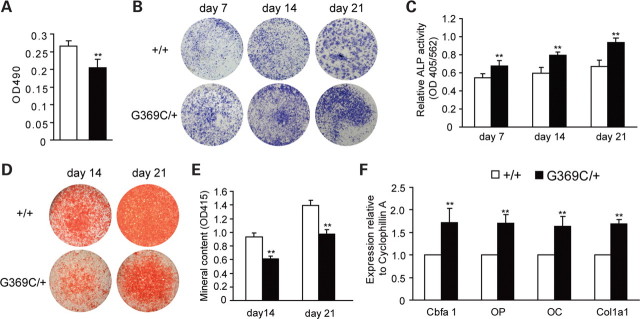 Figure 4.