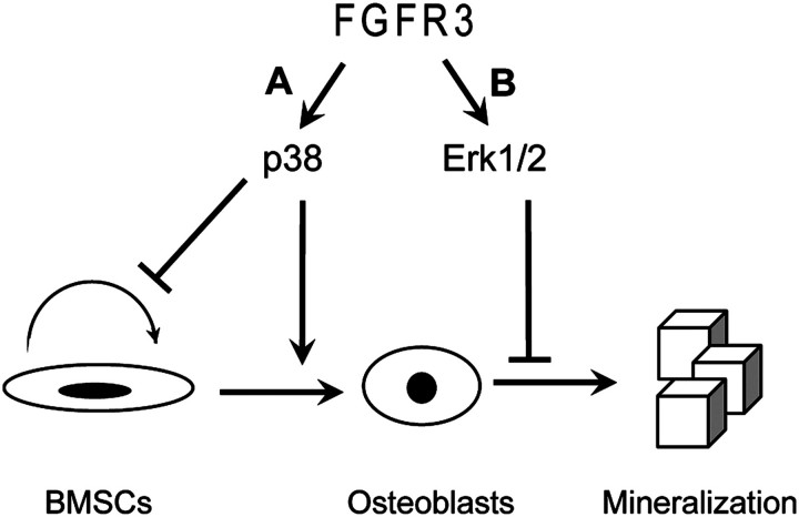 Figure 7.