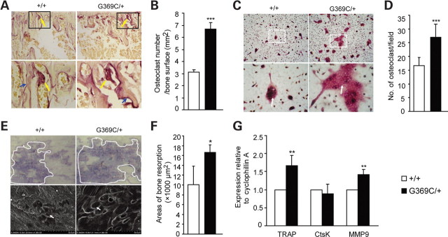 Figure 6.