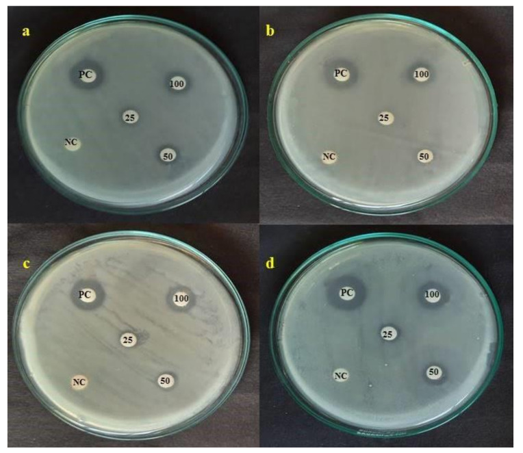 Figure 10