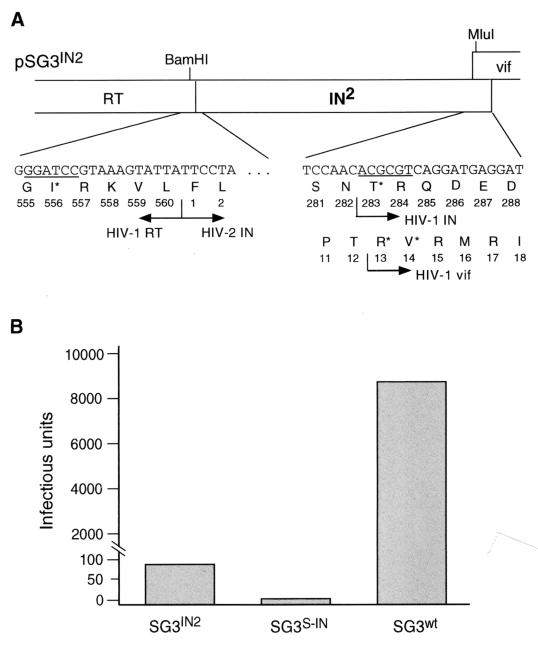 FIG. 1