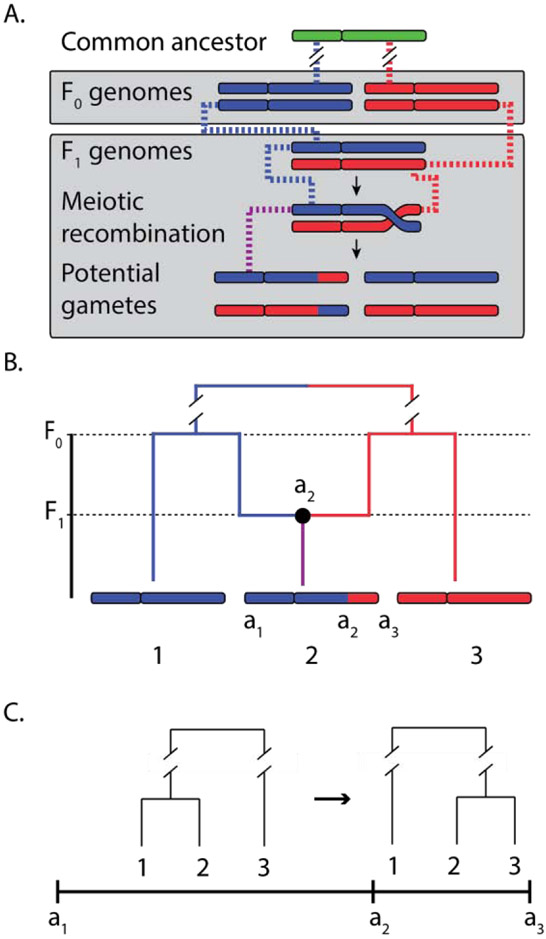 Figure 1: