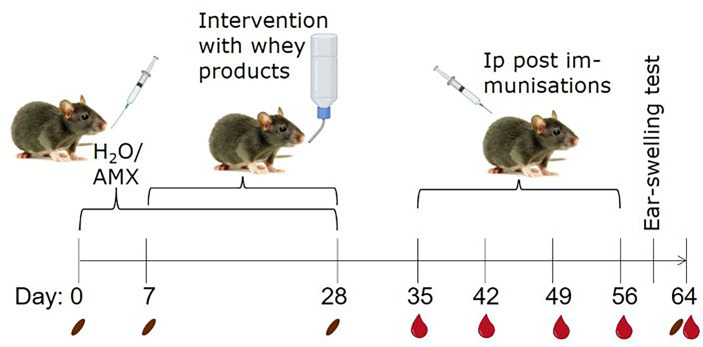 Figure 1