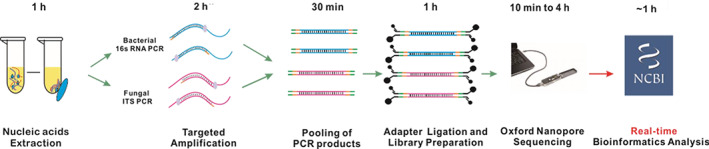 FIGURE 1