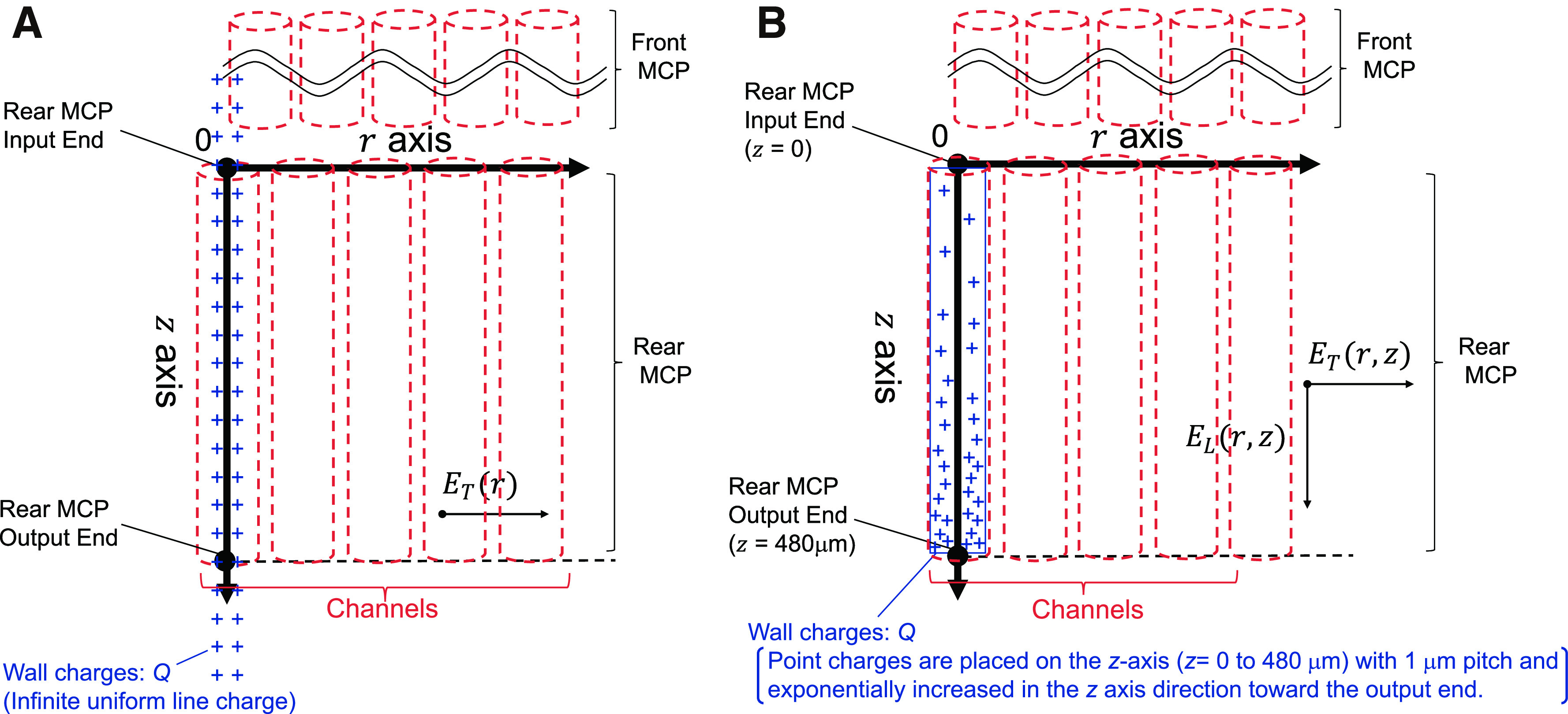 Fig. 1. Coordination diagram to calculate the electric field generated by the wall charges in the rear MCP of a chevron MCP detector. (A) Wall charges are treated as an infinite line of charge with uniform charge density of Q/ls along the z-axis. (B) Wall charges exponentially increase along the z-axis, following Eq. (6). MCP, microchannel plate.