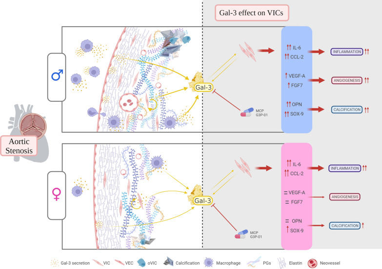 graphic file with name 13293_2023_556_Figa_HTML.jpg