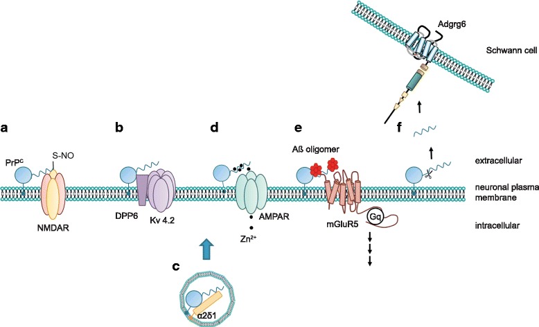 Fig. 2