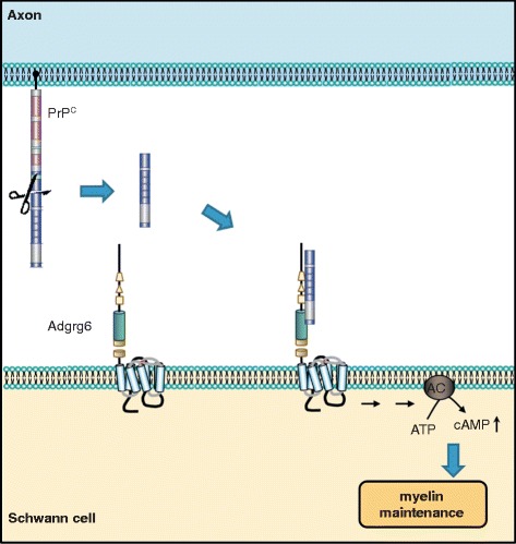 Fig. 4