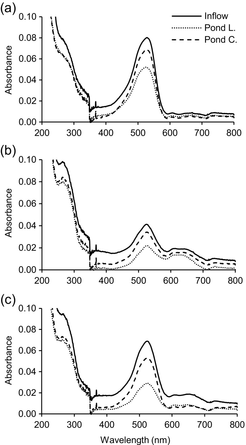 Fig. 5