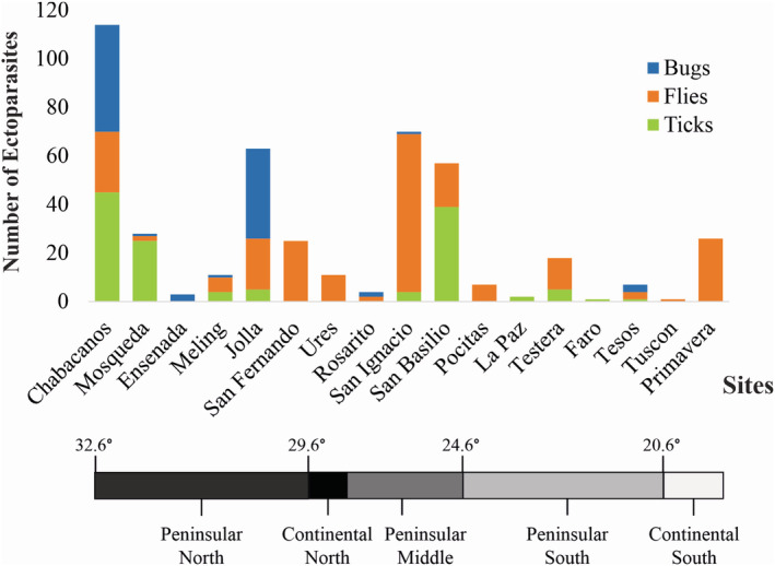 FIGURE 3