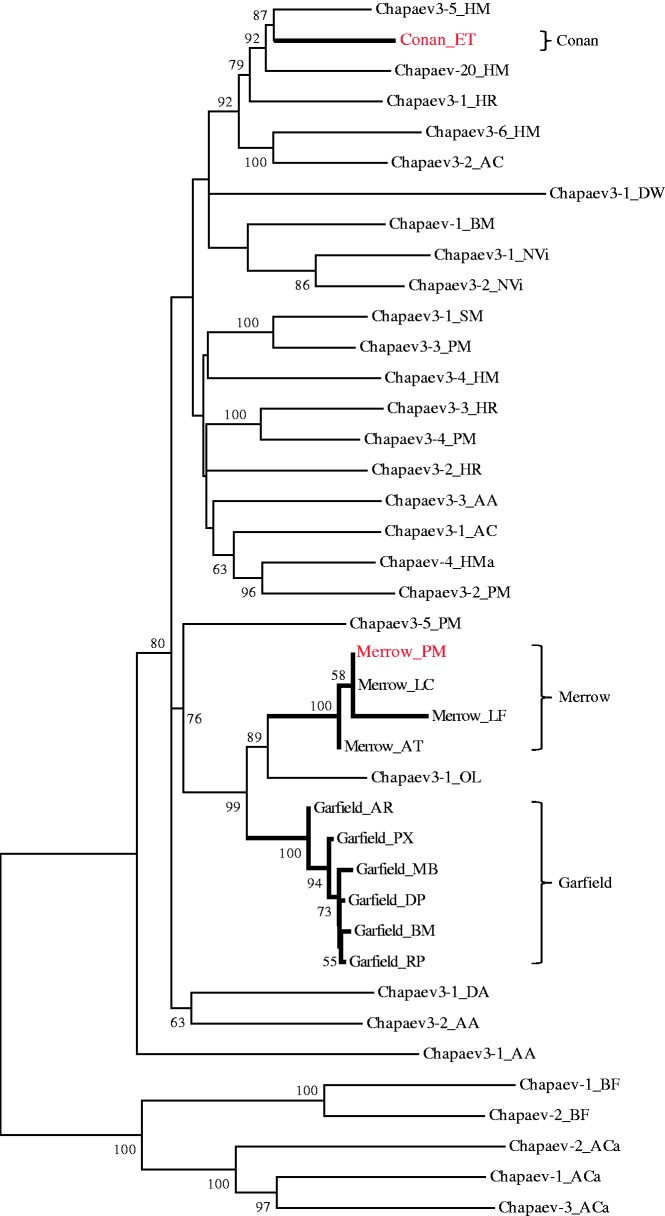 Fig. 1.—