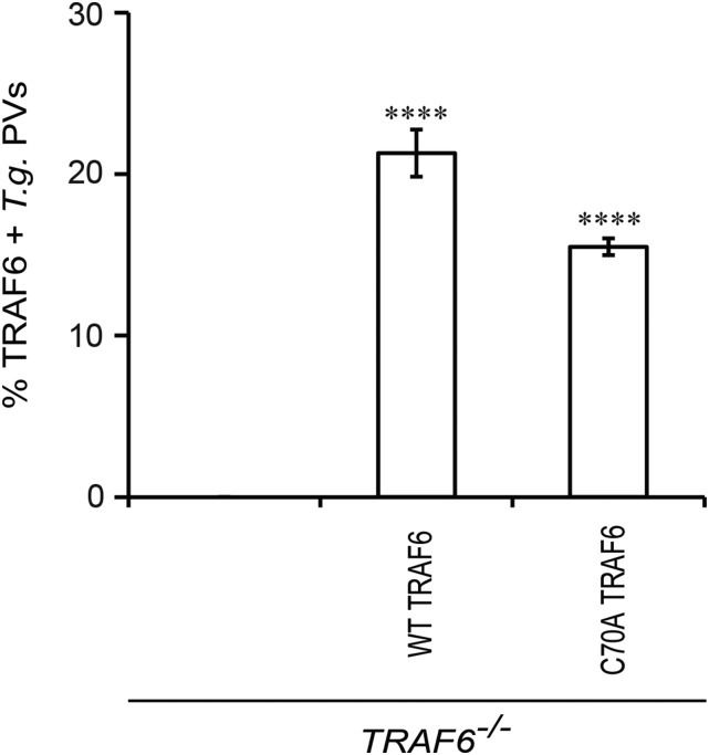 Fig. S4.