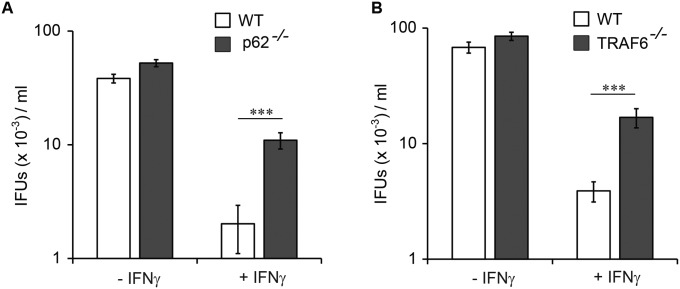 Fig. S9.