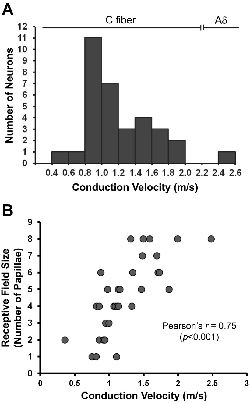 Fig. 8.