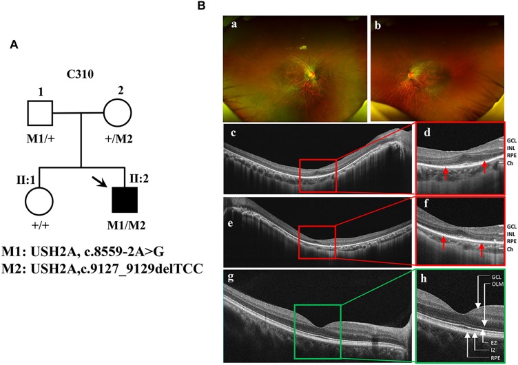 FIGURE 1