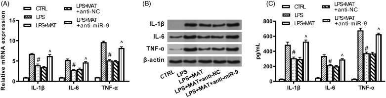 Figure 5.