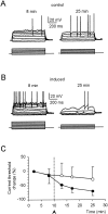 Fig. 3.