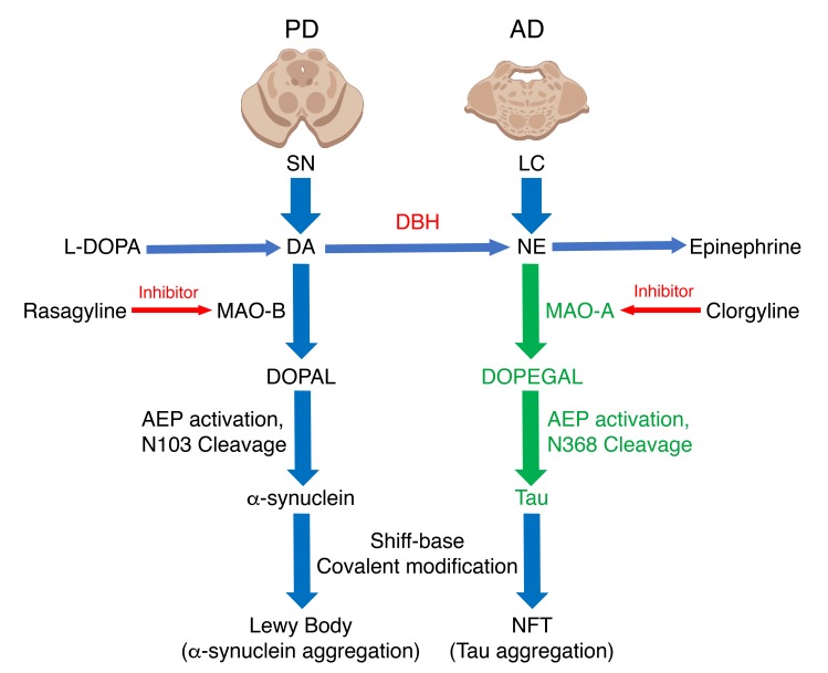 Figure 12