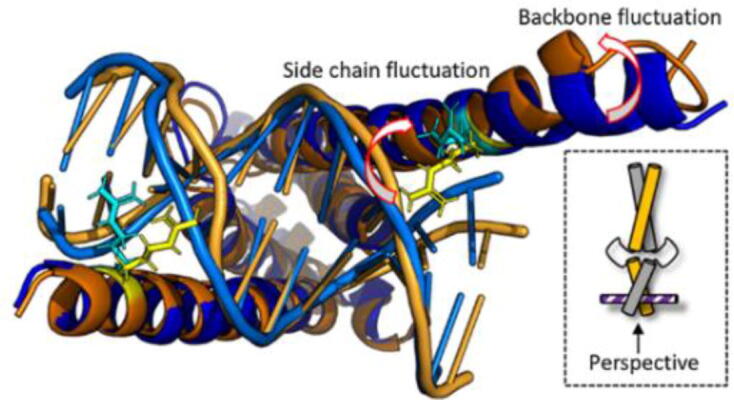 Fig. 2