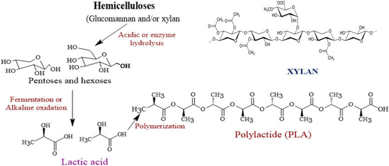 Fig. 10