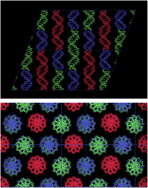 FIGURE 10