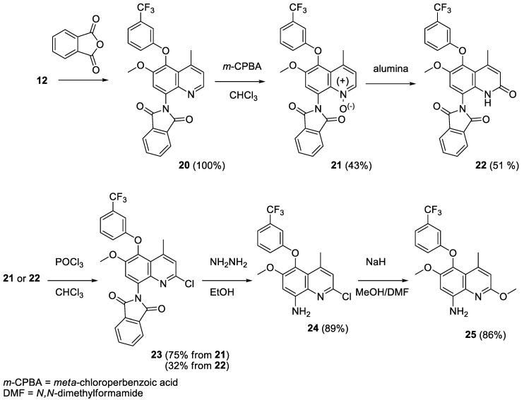 Scheme 3