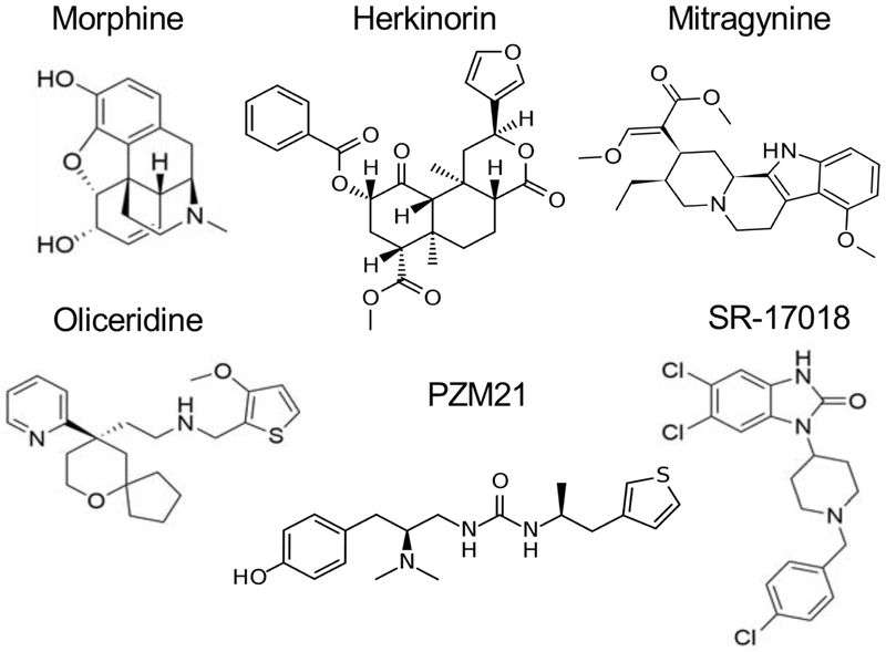 Figure 2.