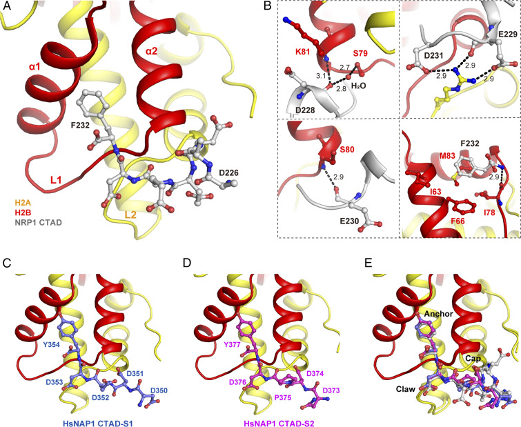 Fig. 4.