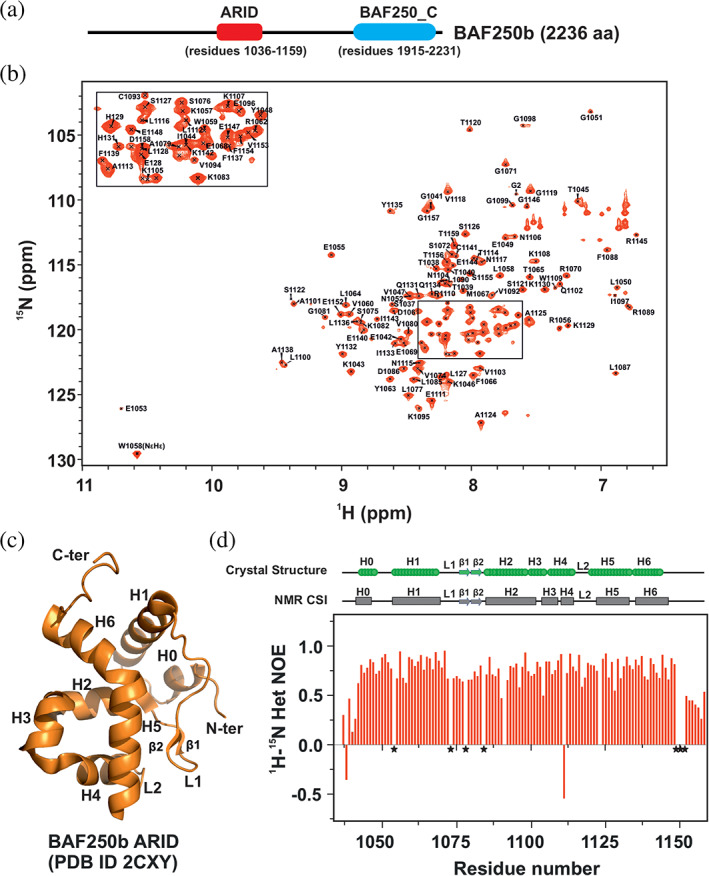 Structure And Dna Binding Analysis Of Atrich Interaction Domain