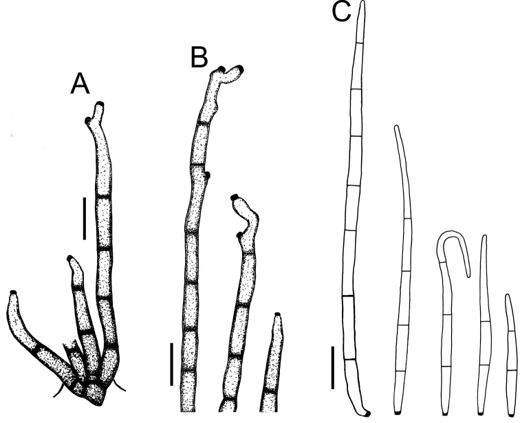 Figure 8.